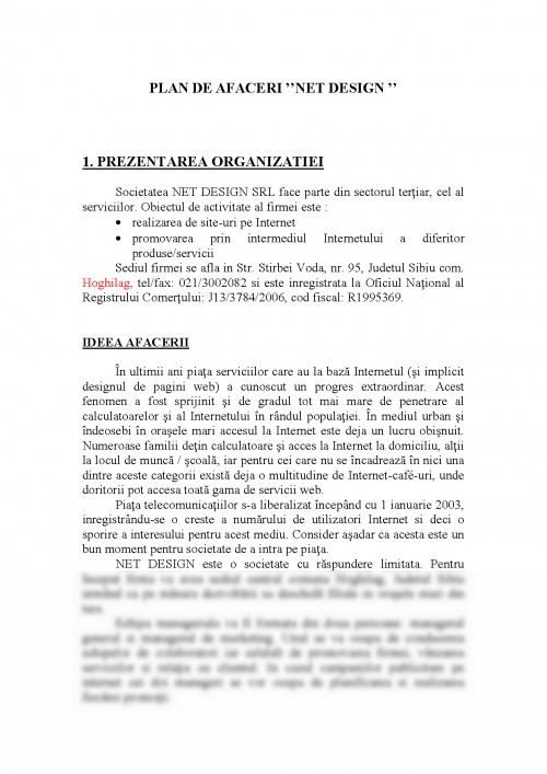 Referat: Plan de afaceri Net Design (#163371)