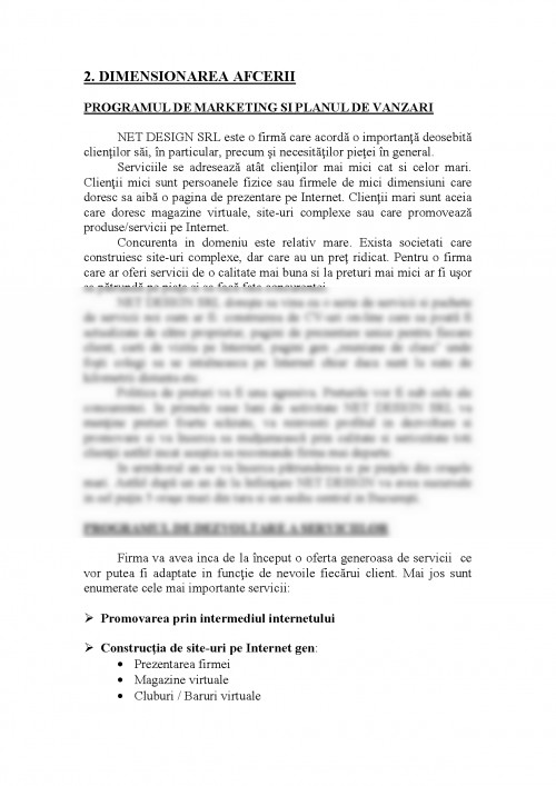 Referat: Plan de afaceri Net Design (#163371)