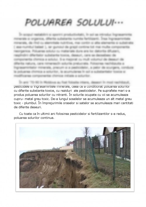 Referat: Solurile Moldovei (#291178)