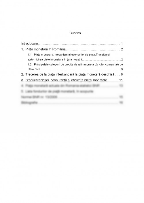 Referat Piața în România (362685)