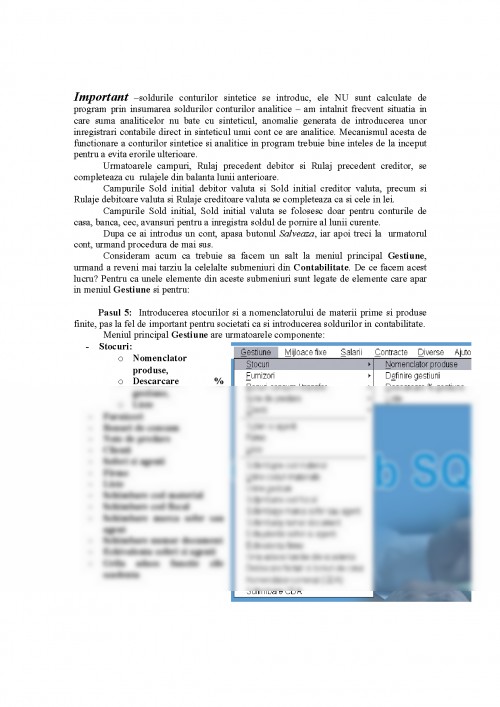 Referat: Utilizarea Programului de Contabilitate ContabSQL (#367819)