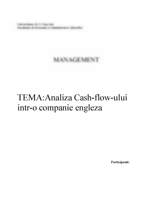 Referat Analiza cashflowului întro companie engleză (392893)