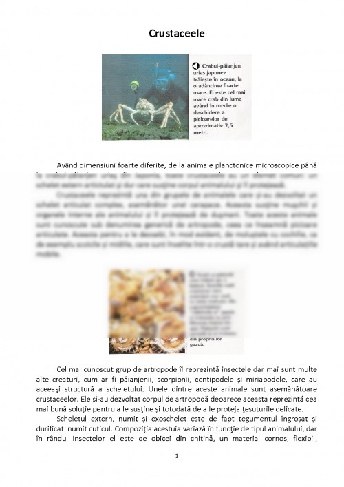 Referat: Crustaceele (#431402)