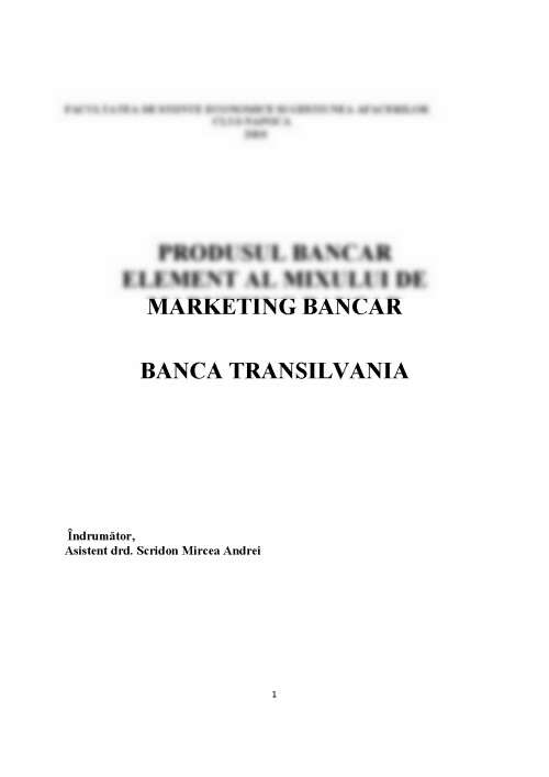 Produsul Referat: Produsul Bancar (#432830)