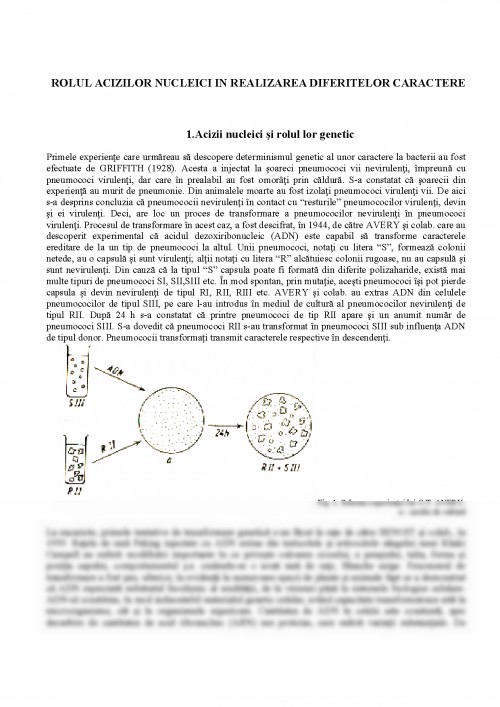 Referat: Rolul Acizilor Nucleici în Realizarea Diferitelor Caractere ...