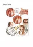 Imagine document Rolul asistenței medicale om examinarea bolnavului