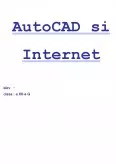 Imagine document Opțiunea de internet în aplicația Autocad