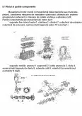 Imagine document Mecanismul motor