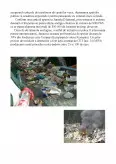 Imagine document Energie din deșeuri