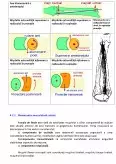 Imagine document Biomecanică