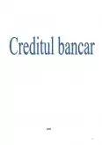 Imagine document Creditul bancar