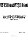 Imagine document Circuite basculante cu elemente discrete
