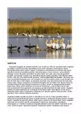 Imagine document Turismul în delta dunării