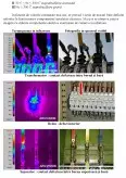 Imagine document Examinarea prin termografiere în infraroșu