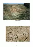 Imagine document Degradarea solului