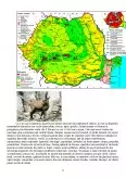 Imagine document Protejarea faunei în România