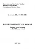Imagine document Laborator financiar- bancar