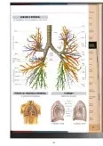 Imagine document Insuficiență respiratorie