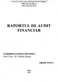 Imagine document Raportul de audit financiar