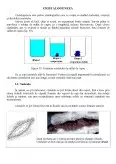 Imagine document Cristalogeneză