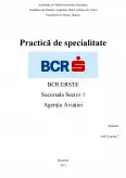 Imagine document Practică de specialitate BCR