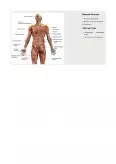 Imagine document Sistemul osos și muscular