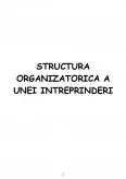 Imagine document Structura organizatorică a unei întreprinderi