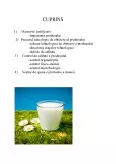 Imagine document Laptele de Consum