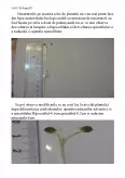 Imagine document Embriologie vegetală