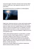 Imagine document Fenomene electrice în atmosferă