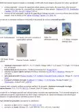 Imagine document Aerodinamica avionului