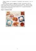 Imagine document Tehnologia de fabricație a zahărului de sfeclă