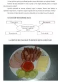 Imagine document Recomandarea preparatelor dietetice pentru diferite regimuri speciale