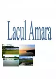 Imagine document Lacul Amara