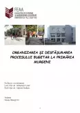 Imagine document Organizarea și Desfășurarea Procesului Bugetar la Primăria Murgeni