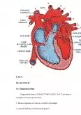 Imagine document Îngrijirea pacienților cu infarct miocardic