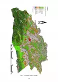 Imagine document Fond forestier Județul Sibiu