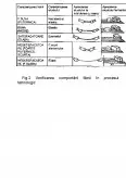 Imagine document Compoziția Chimică a Făinii de Grâu