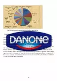 Imagine document Prezentarea Mărcii Danone