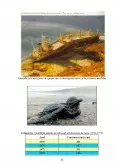Imagine document Studiu de caz privind schimbările ecologice provocate de navigație și transporturi navale