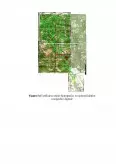 Imagine document Studiu de caz privind utilizarea datelor GIS în modelarea hidrologică