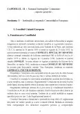 Imagine document Delimitări conceptuale cu privire la Uniunea Europeană