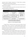 Imagine document Studiu privind rolul tratatelor în constituția europeană și consolidarea europeană