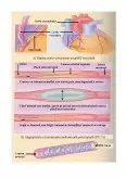 Imagine document Biomaterialele utilizate pentru realizarea protezelor vasculare în cadrul sistemului vascular