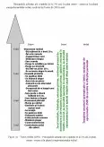 Imagine document Stadii și caracteristici ale evoluției sistemului psihic uman