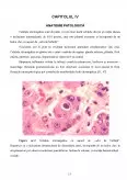 Imagine document Aspecte particulare privind afectarea hepatică prin infecția cu virusul citomegalic