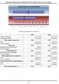 Imagine document Realizarea contabilității financiare în cadrul unui sistem informatic