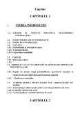 Imagine document Erorile canalului discret și măsuri de protecție împotriva codurilor Reed - Muller