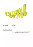 Imagine document Cuprul