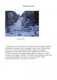 Imagine document Parcul Național Munții Rodnei
